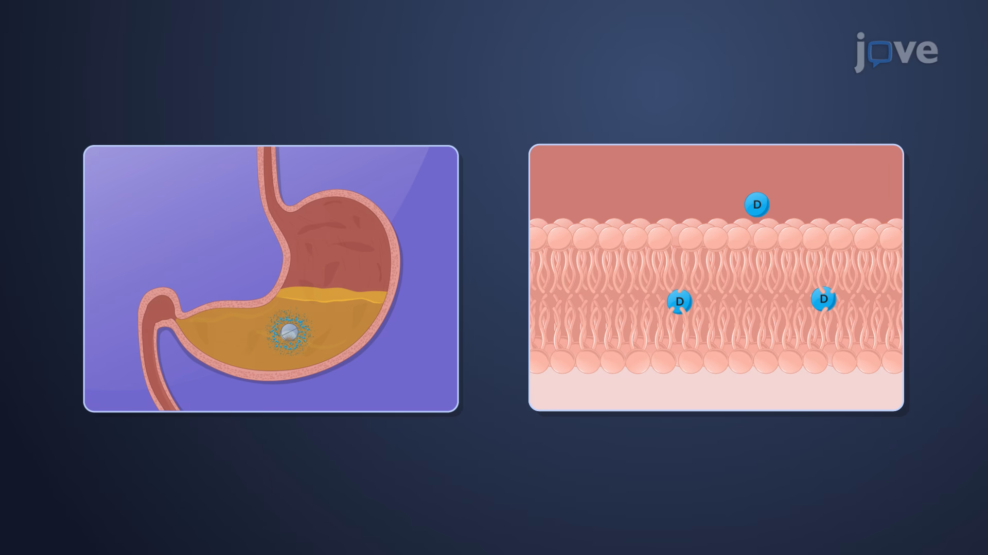 Quais são as 4 finalidades da farmacologia?