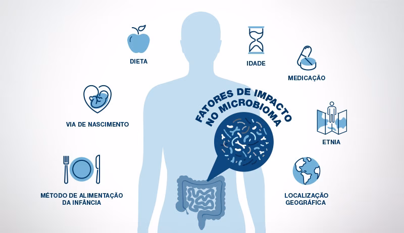 Quais são as funções da microbiota intestinal?