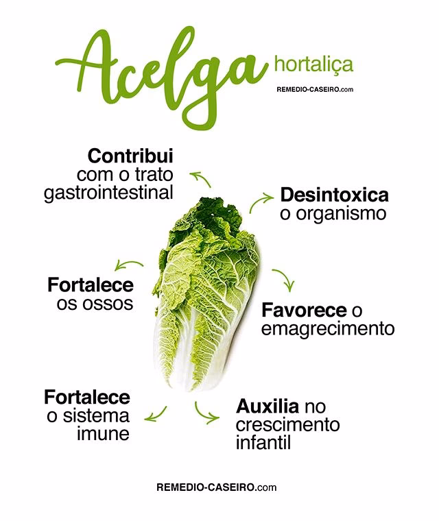 Quais são os benefícios das acelgas?