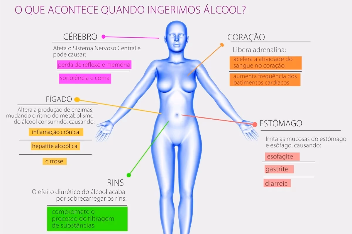 Quais são os danos causados pelo álcool?