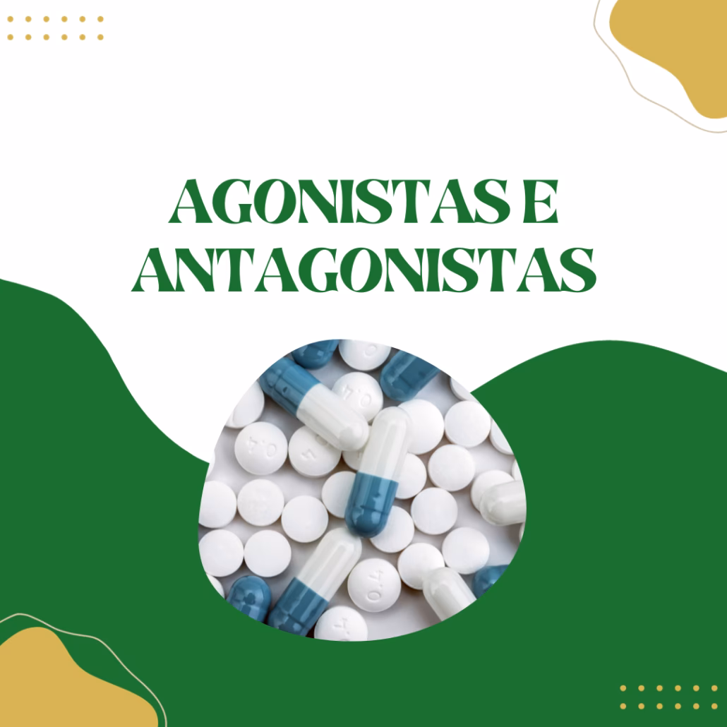 Qual é a diferença entre antagonista e agonista?