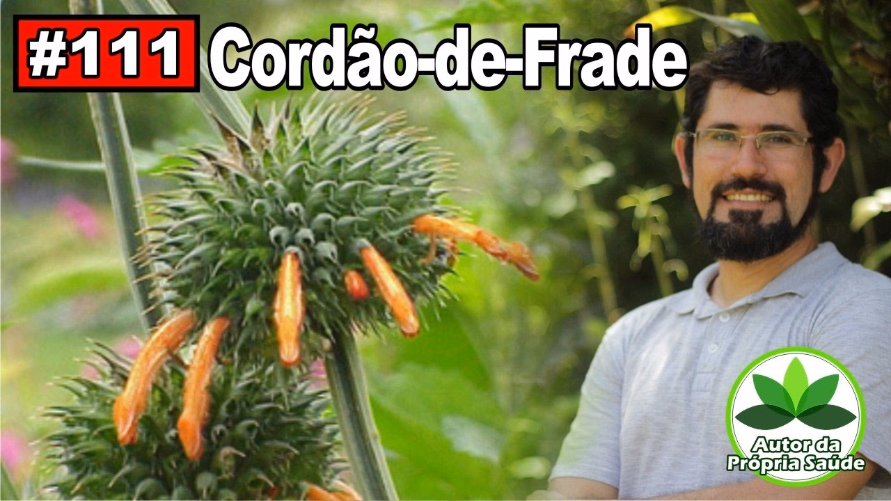 Qual é a fruta que é boa para baixar o ácido úrico?