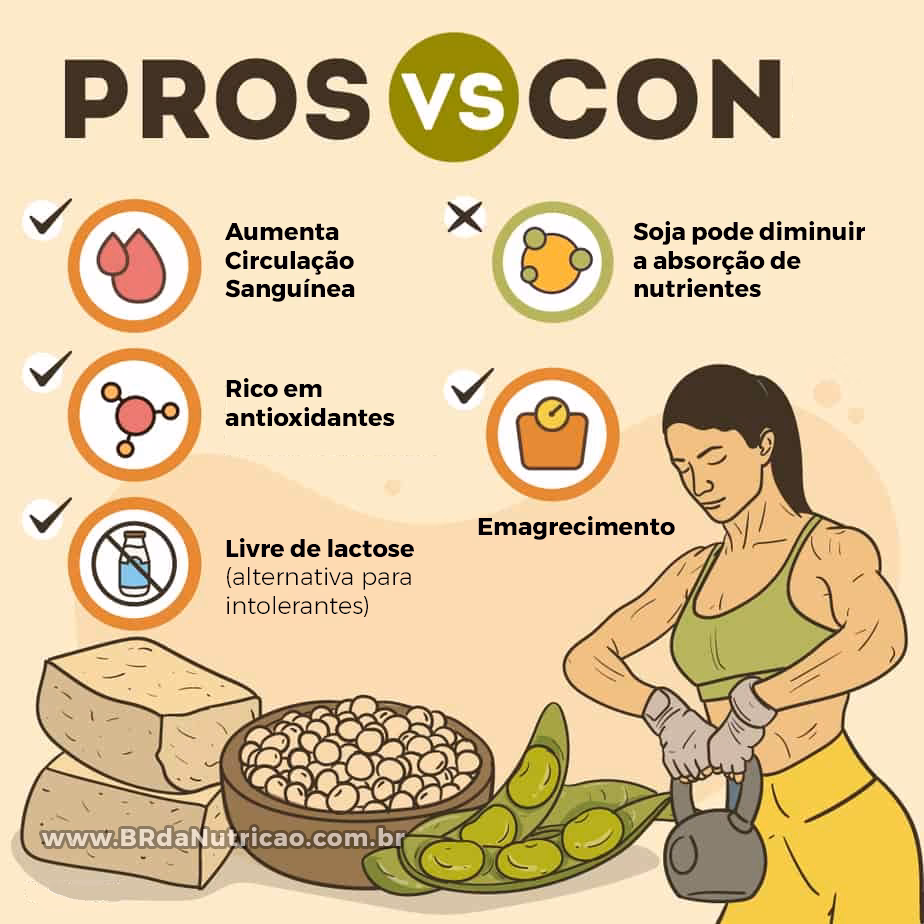 Para que serve a farinha de soja?