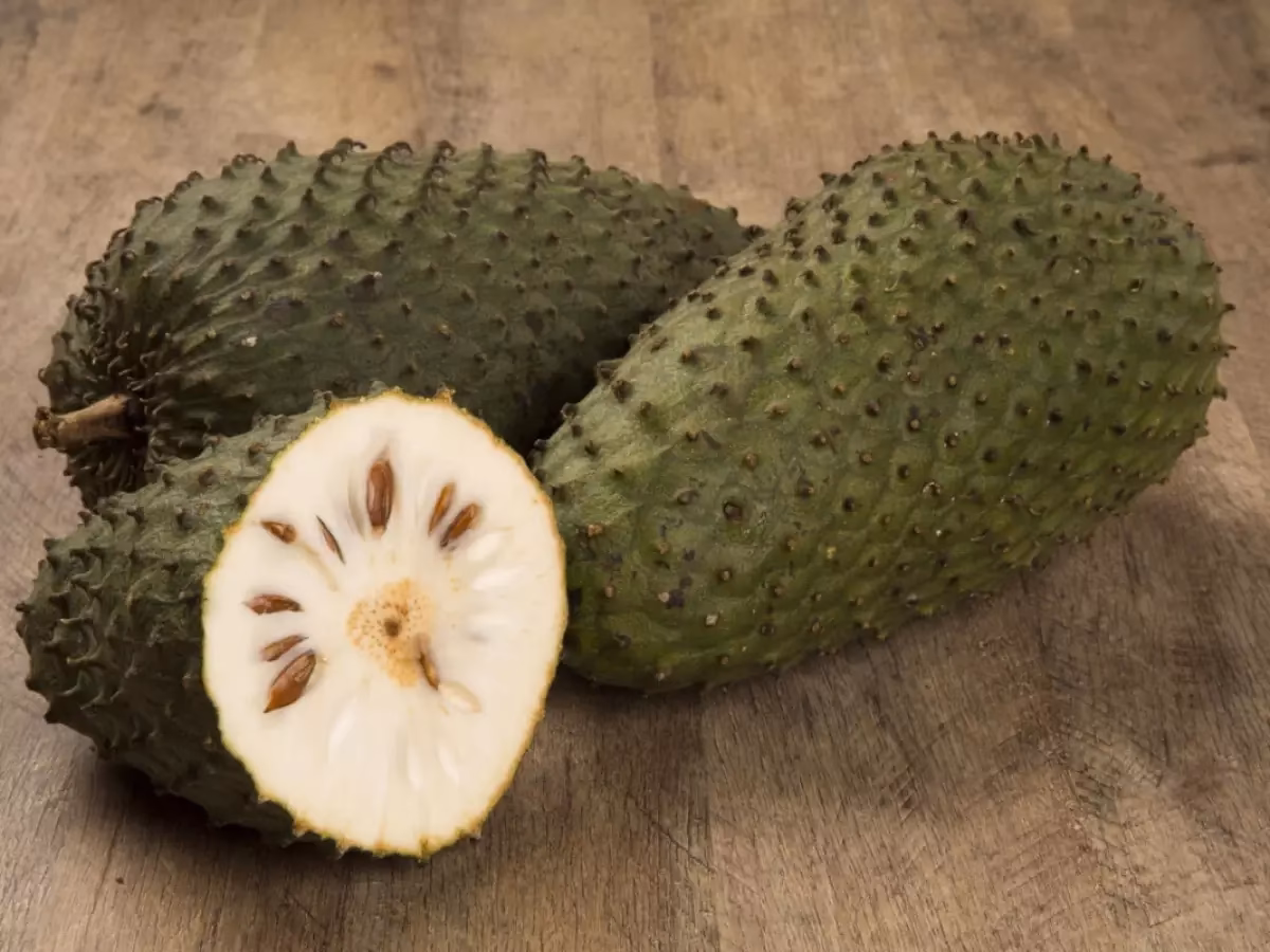 Como se chama a graviola em Portugal?