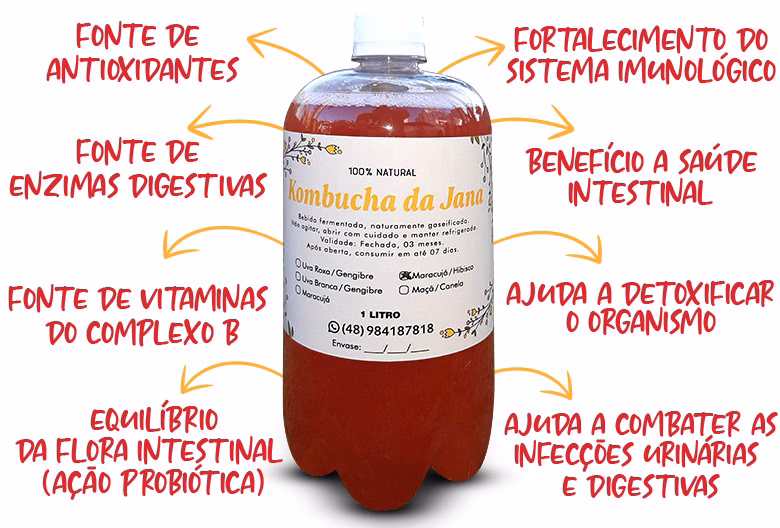 Pode-se beber kombucha todos os dias?
