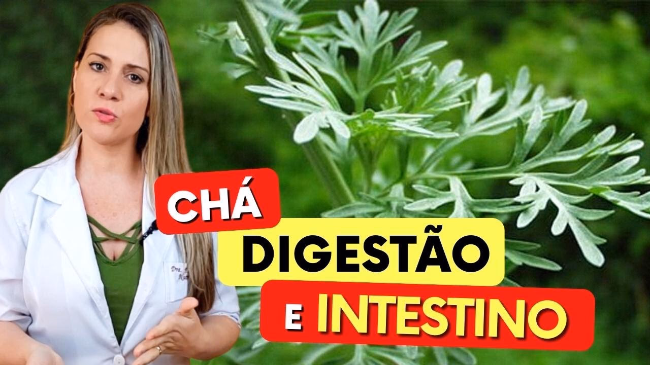Como fazer chá de losna?