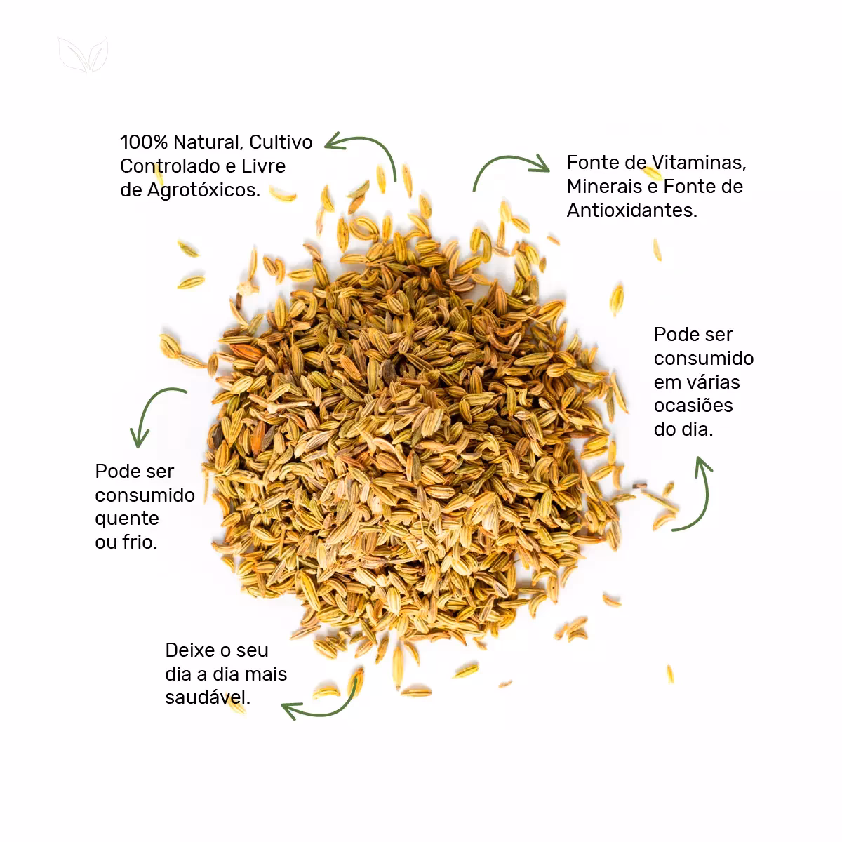 Quais são as vitaminas do funcho?