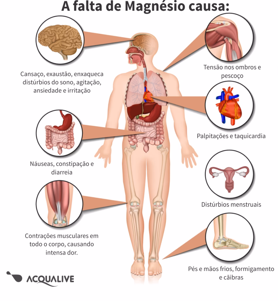 Qual é a melhor hora do dia para tomar magnésio?
