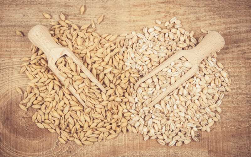 O que é pão de malte?