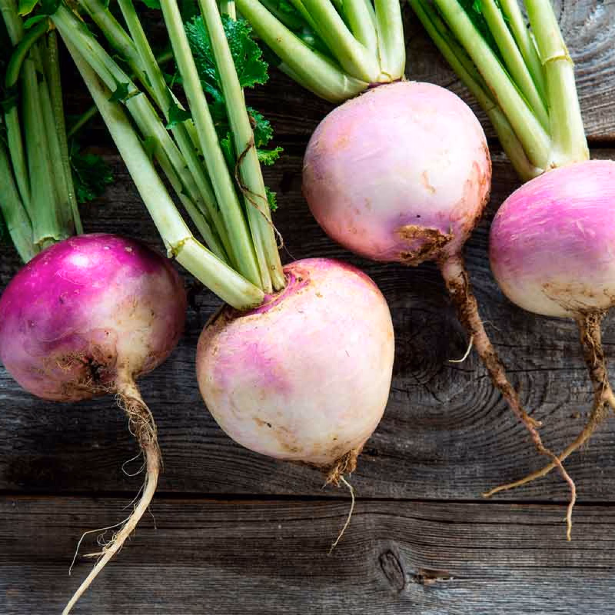 Quais são os benefícios da nabiça?