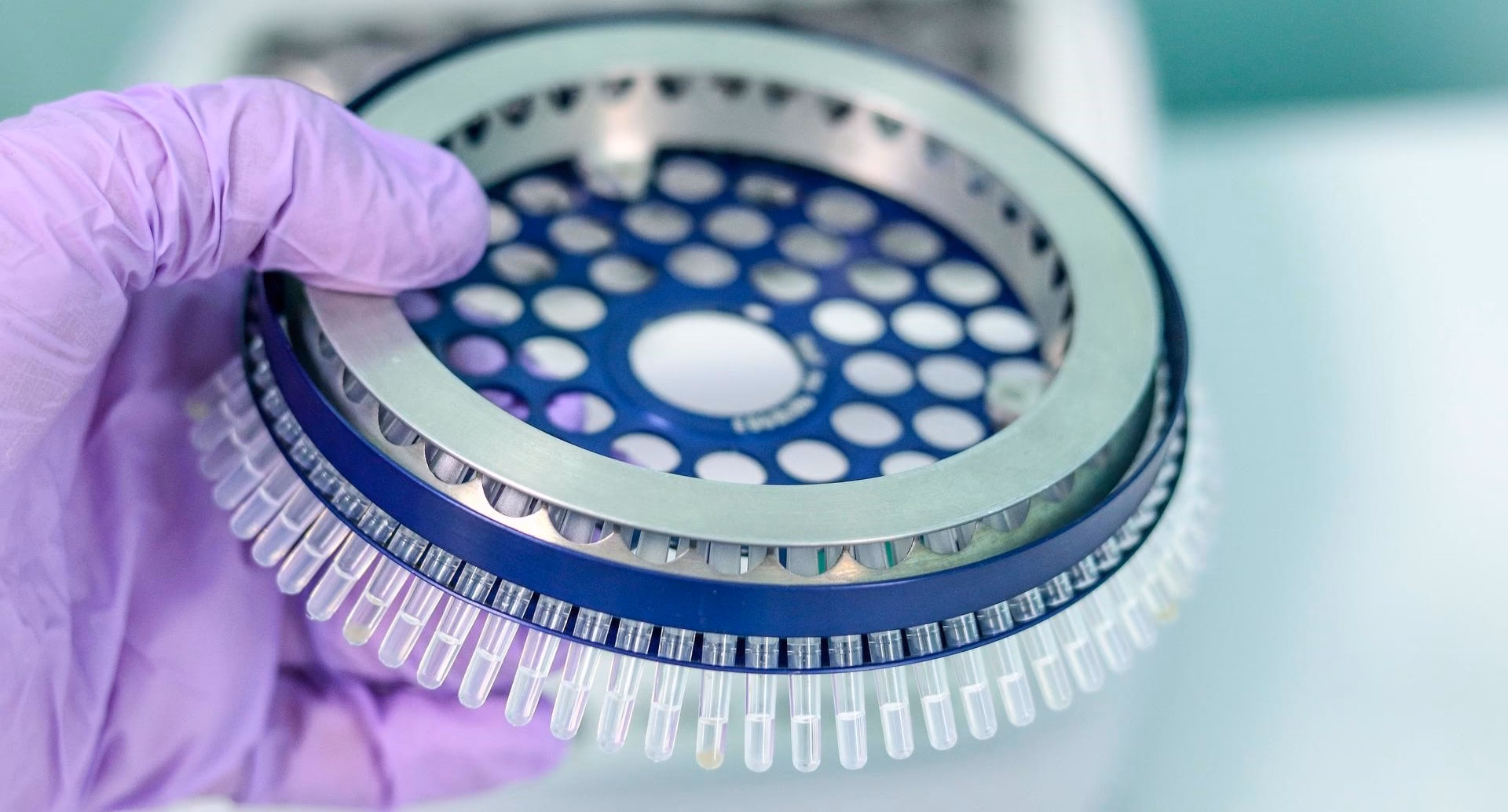 Que saídas têm ciências biomédicas?