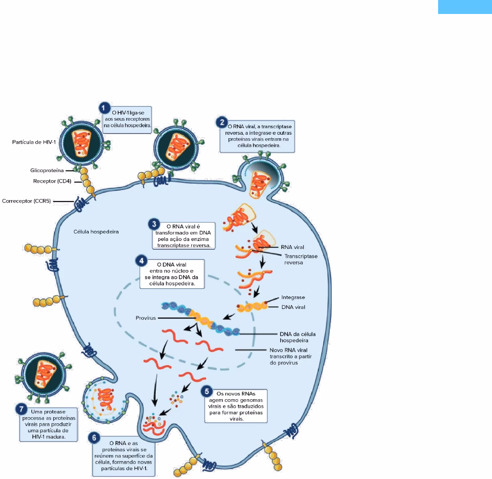 Quais são os medicamentos para o HIV?