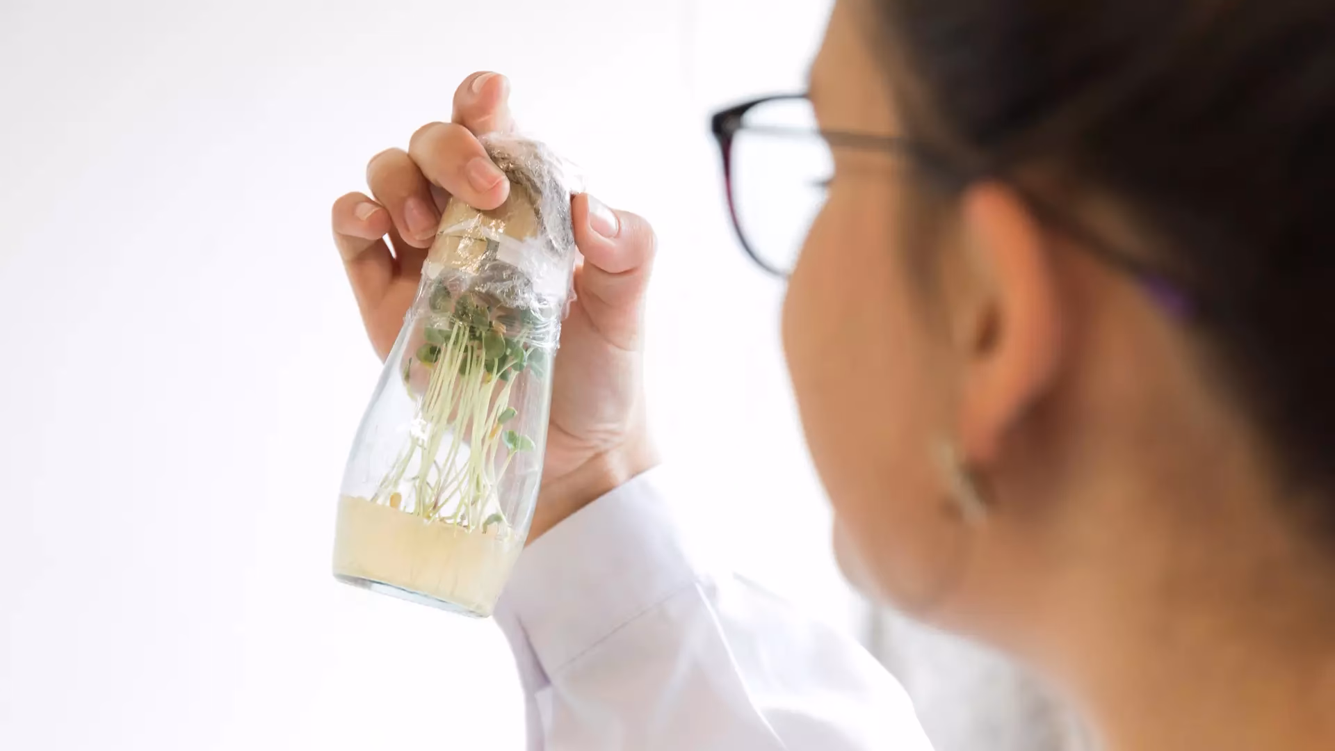 Quanto ganha um licenciado em biotecnologia em Portugal?