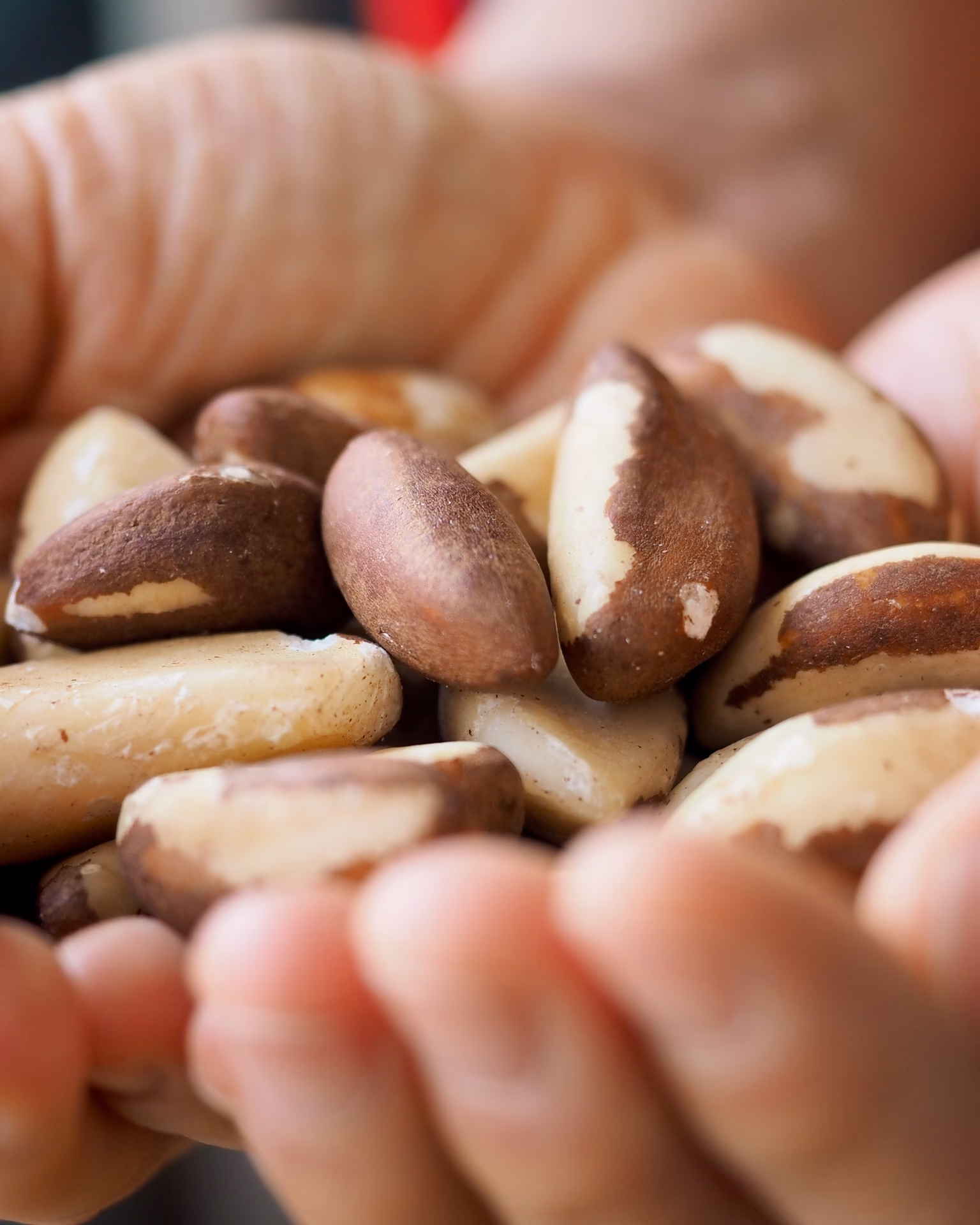 Faz mal comer castanhas à noite?