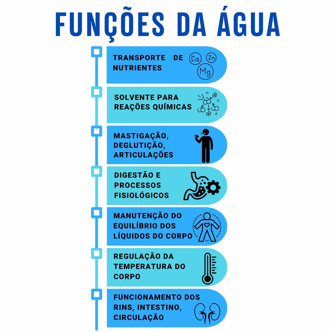 Que quantidade de água se deve beber por dia?