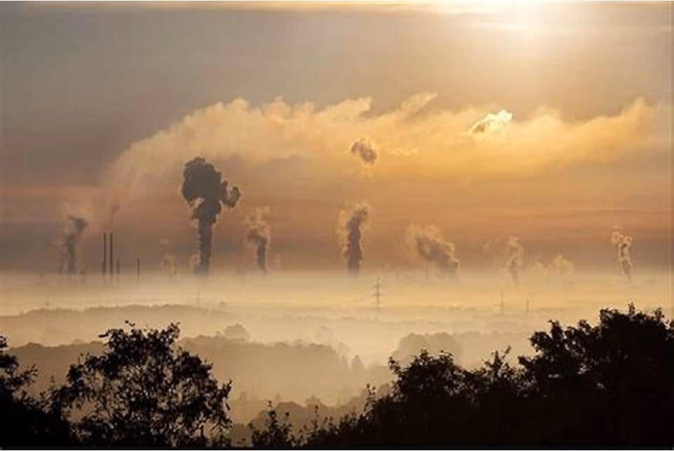 Quais são as consequências do smog?