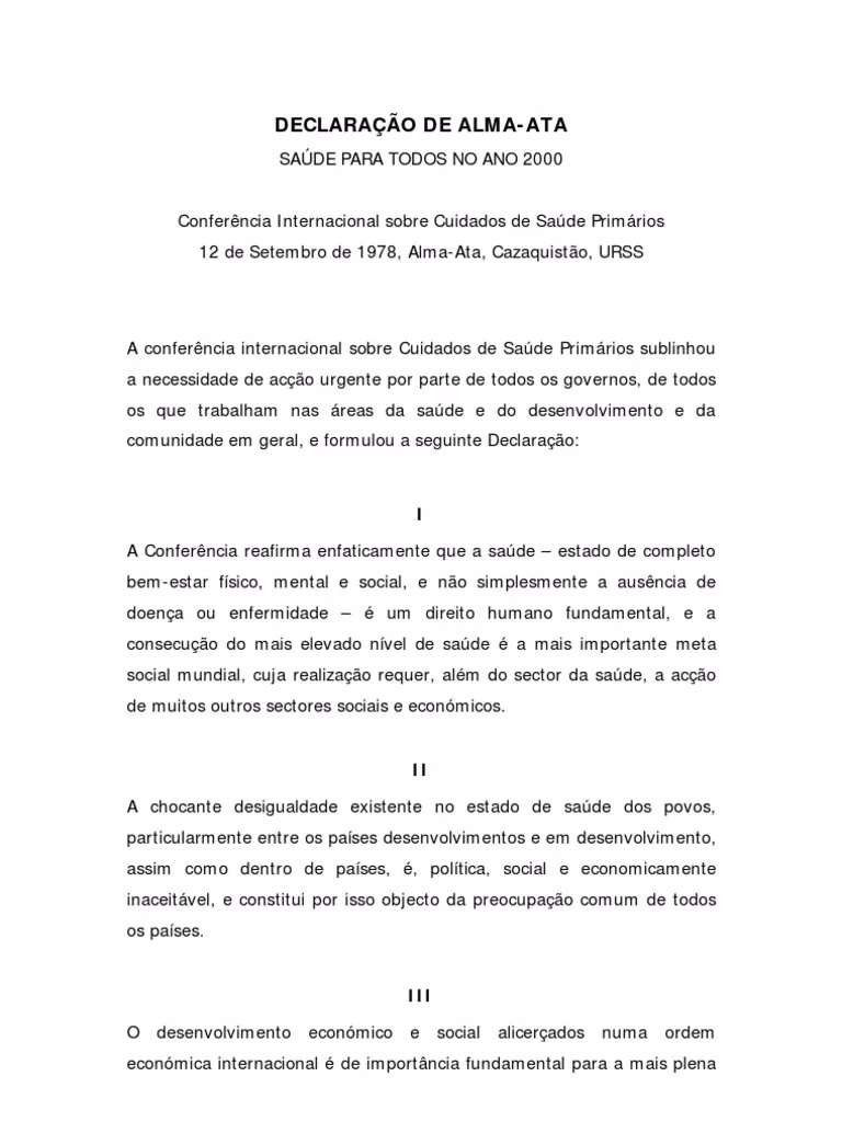 Quais são os princípios da alma ata?