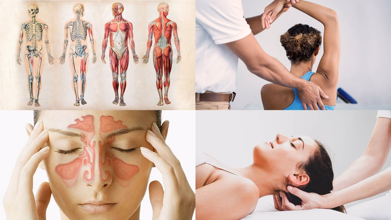 Que curso tirar para ser osteopata?