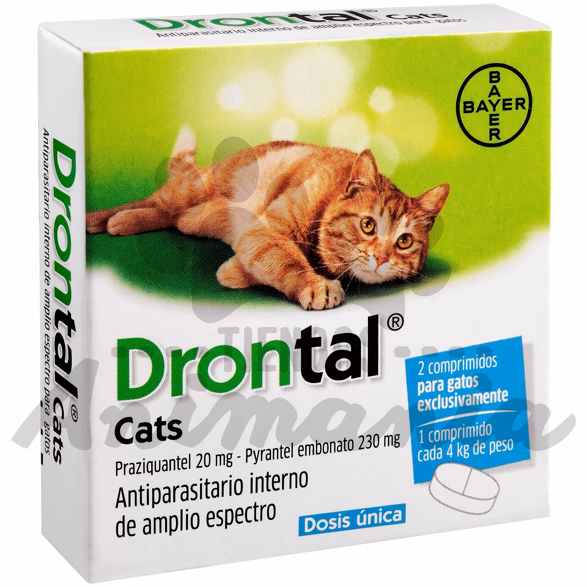 Quanto tempo demora o desparasitante interno a fazer efeito gato?