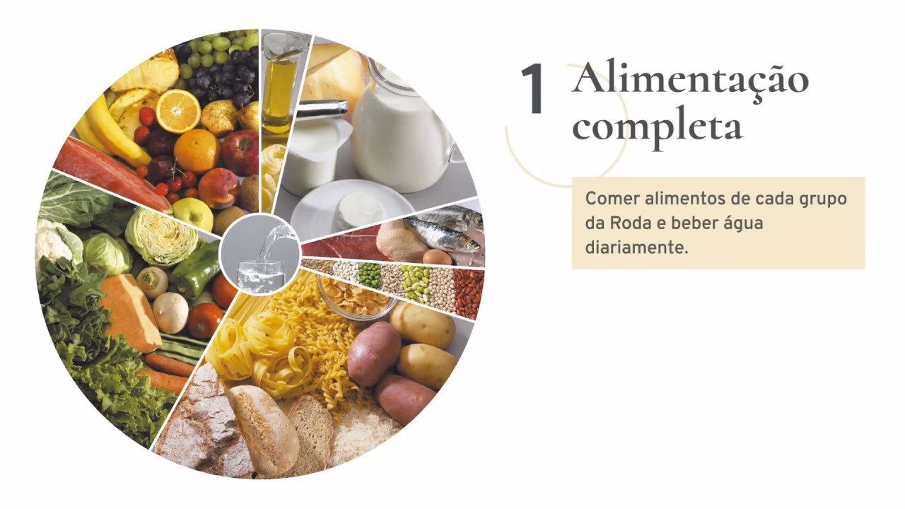 Quais são os 8 componentes da Roda dos Alimentos?