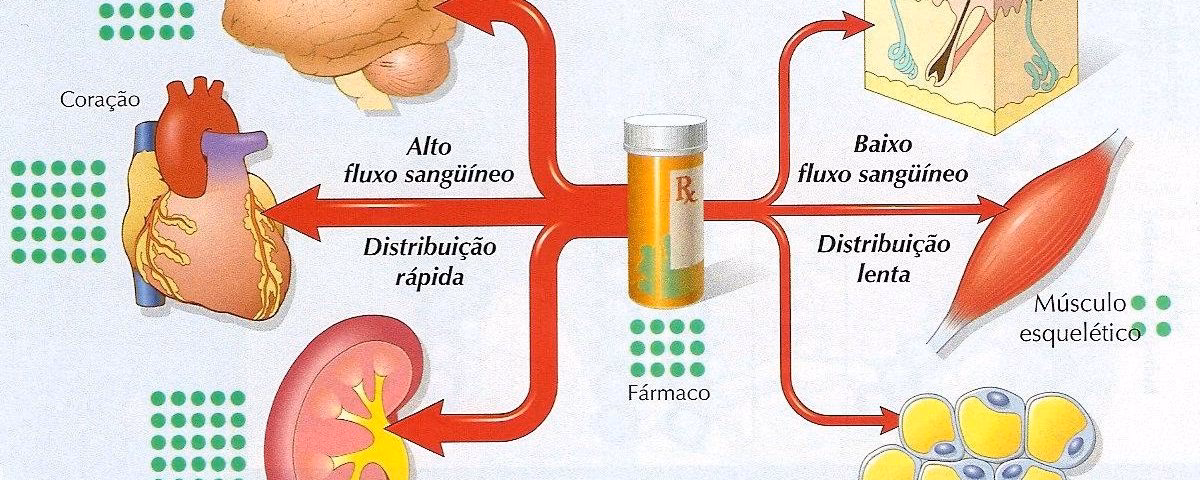 O que é o sistema de distribuição de medicamentos?