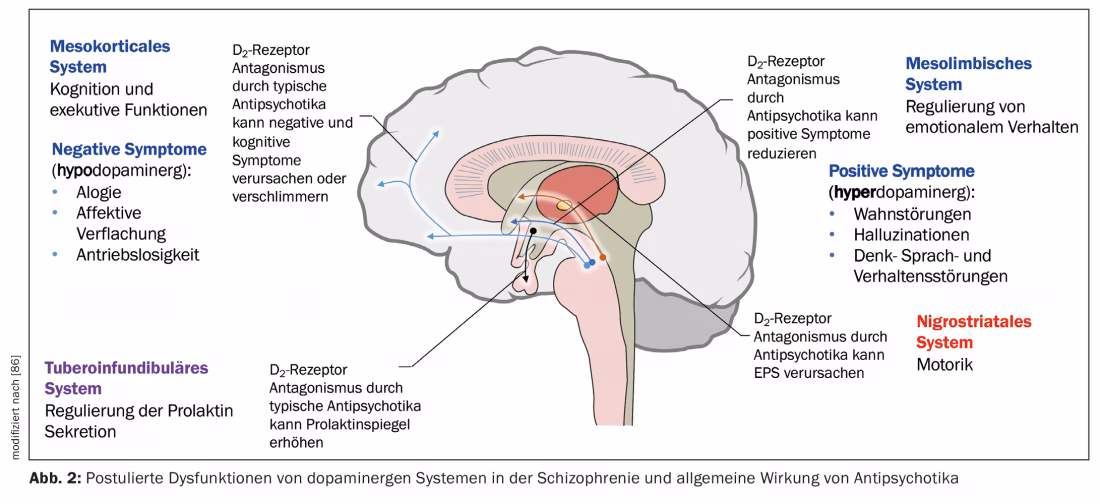 O que é o sistema de distribuição de medicamentos?