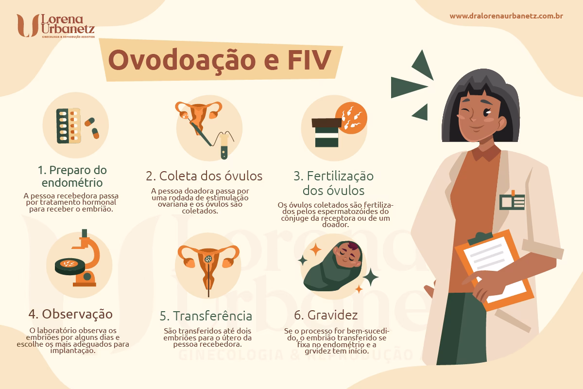 Quanto se ganha por doar óvulos em Portugal?