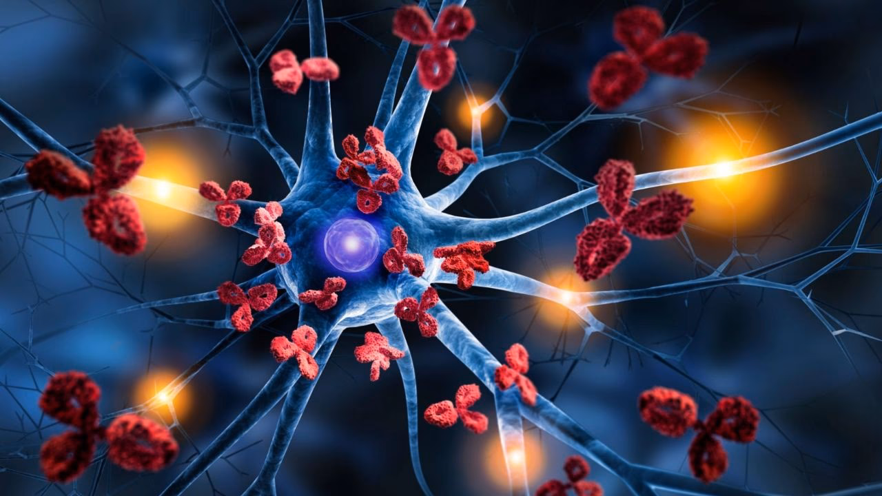 Qual exame detecta doenças auto-imunes?