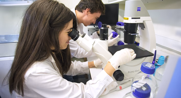 Quanto custa um doutoramento em Portugal?