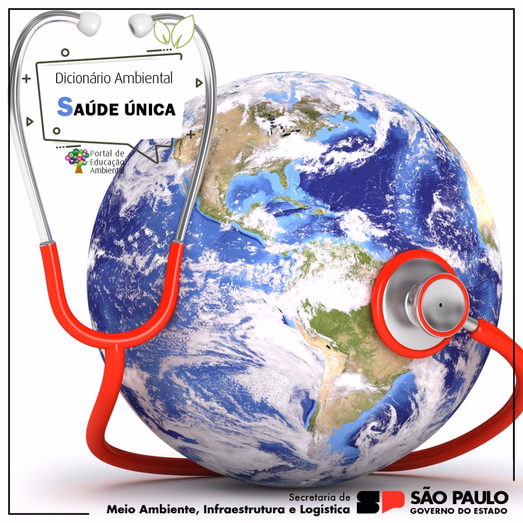 O que entende por cidadania ambiental?