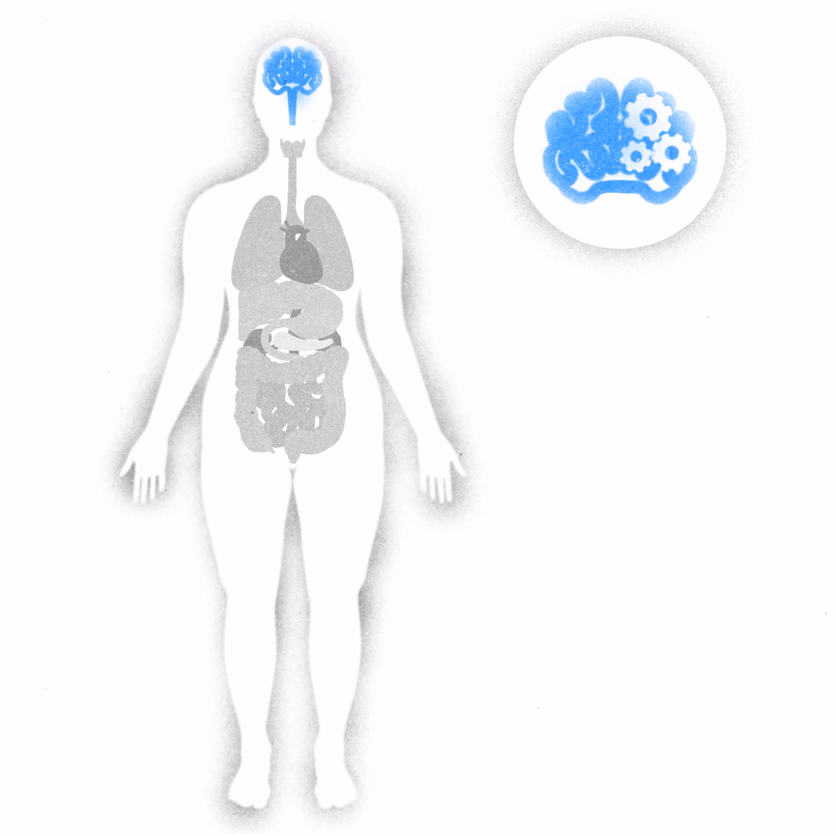 Qual é a importância dos pesticidas?