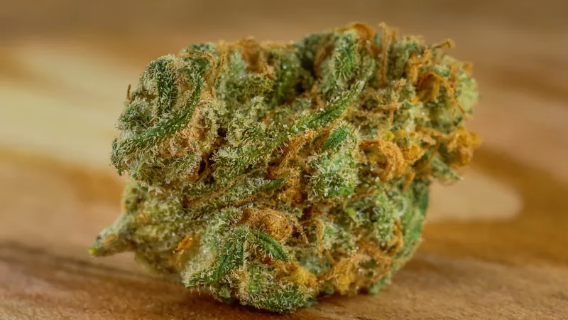 Quem pode prescrever canabidiol em Portugal?