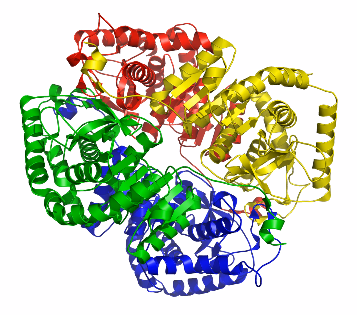 Como baixar o LDH no sangue?