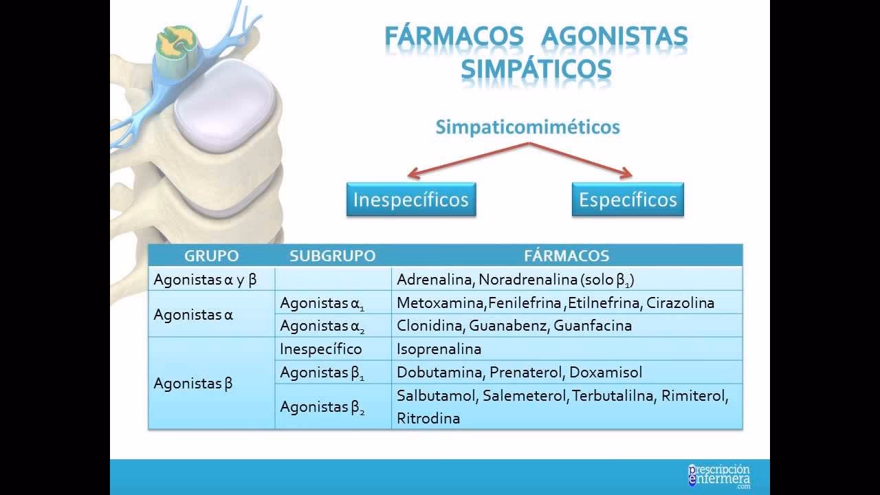 Como funcionam os agonistas adrenérgicos?