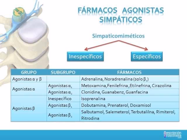 Como funcionam os agonistas adrenérgicos?