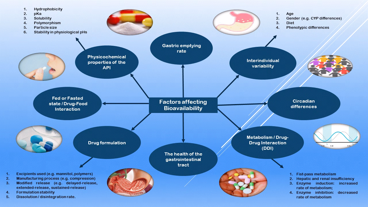 Quais são os fatores que influenciam na absorção dos medicamentos?