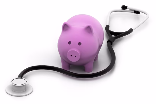 Quanto custa o SNS por ano?