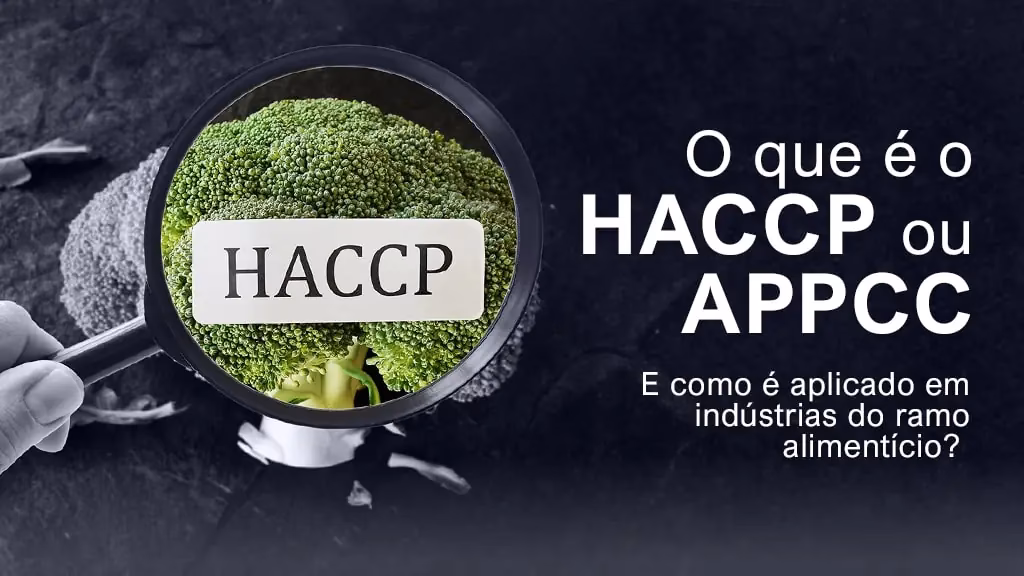 Quais são os 7 princípios do HACCP?