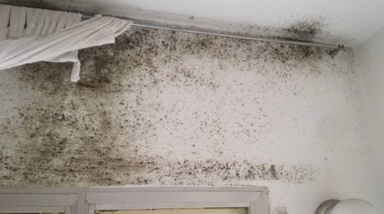 Que humidade deve ter no quarto?