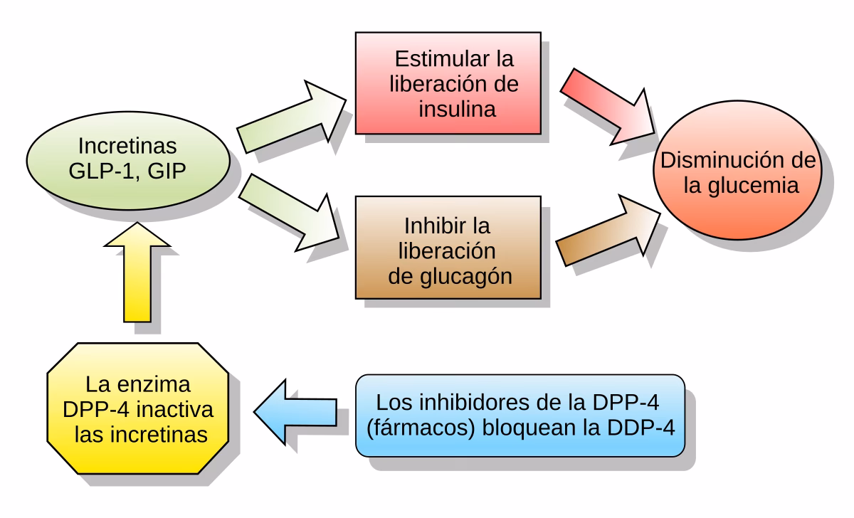 Quais são os medicamentos para diabetes?