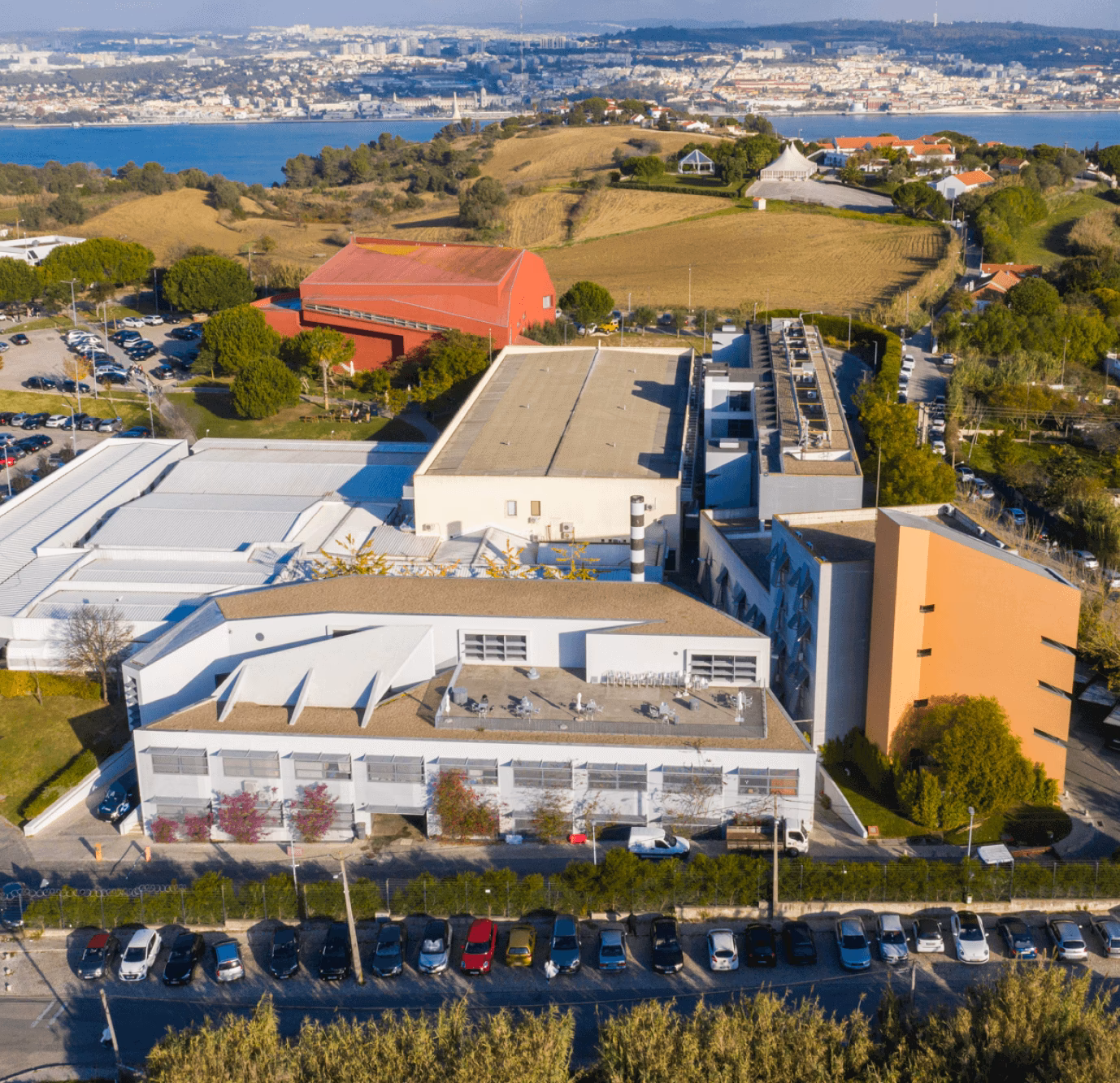 Qual a média para entrar em medicina dentária?