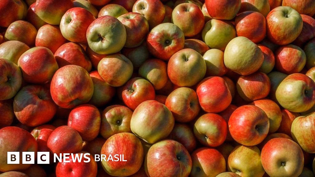 Quantas maçãs se deve comer por dia?