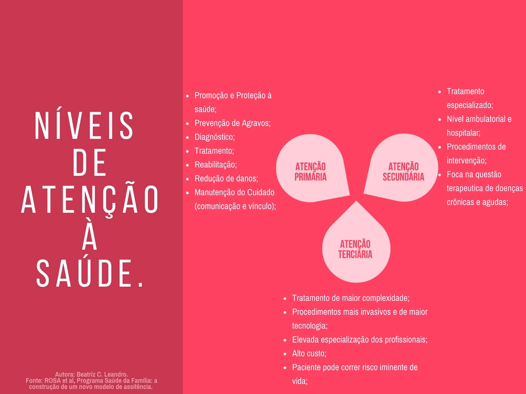 Quais são os níveis de saúde?