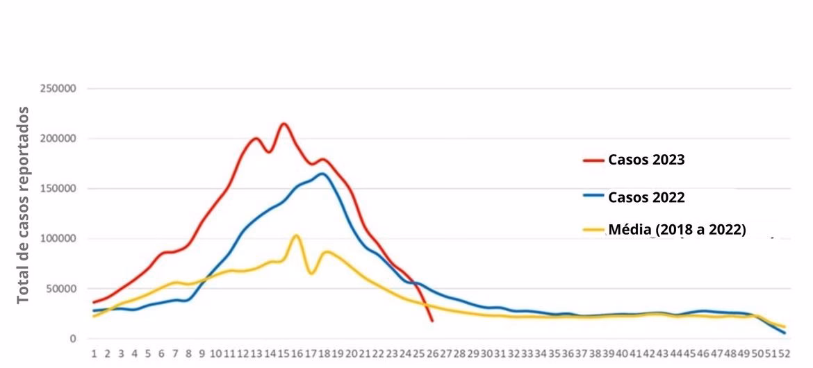 Como não apanhar dengue?
