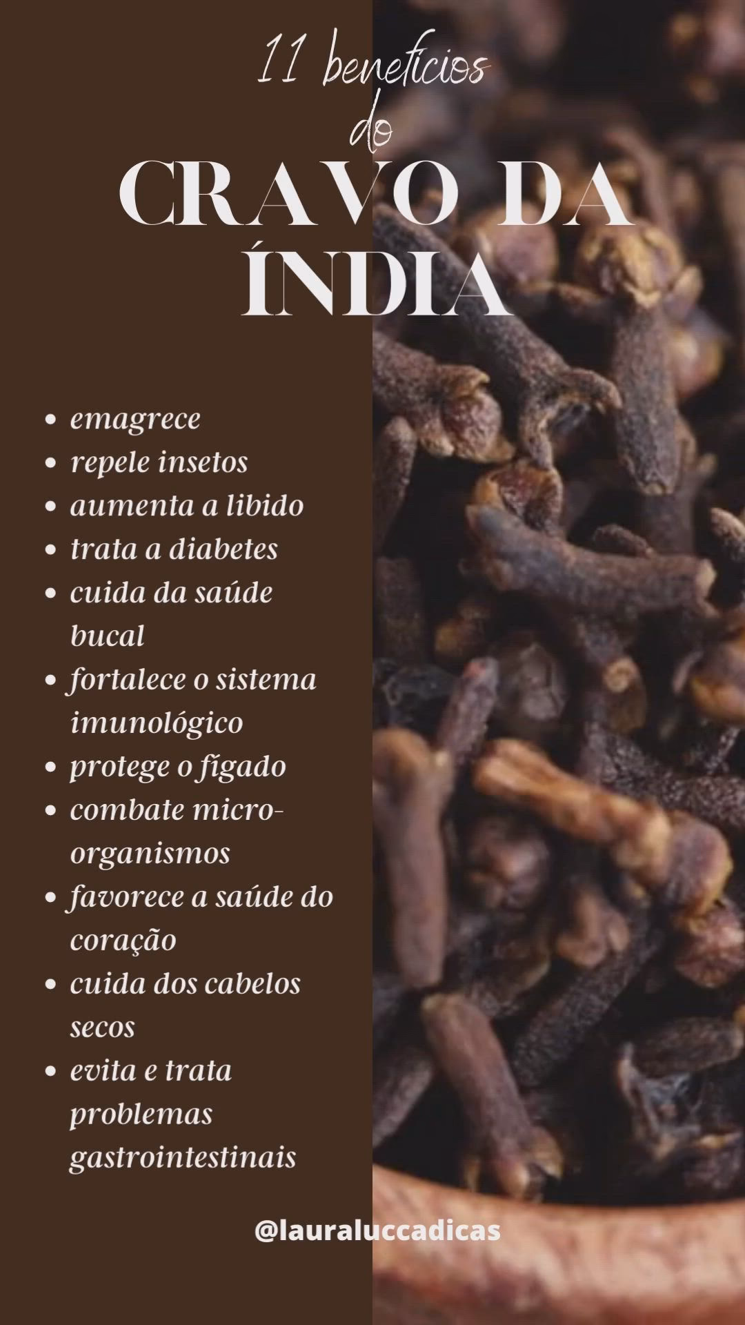 O que acontece se eu mastigar o cravo-da-índia?