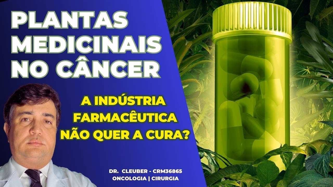 Qual é a importância das plantas na medicina?