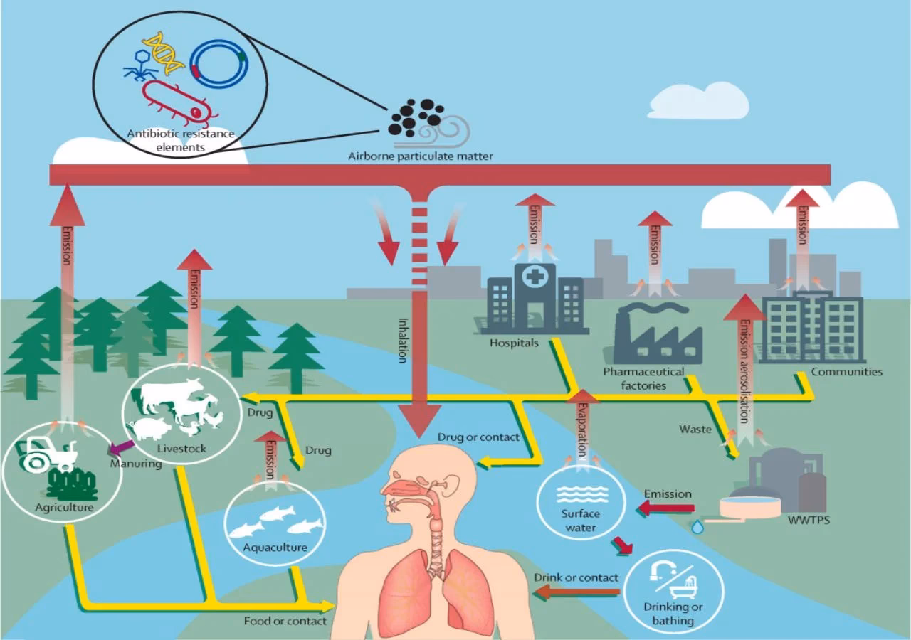 Quais são as consequências da poluição para os seres humanos?