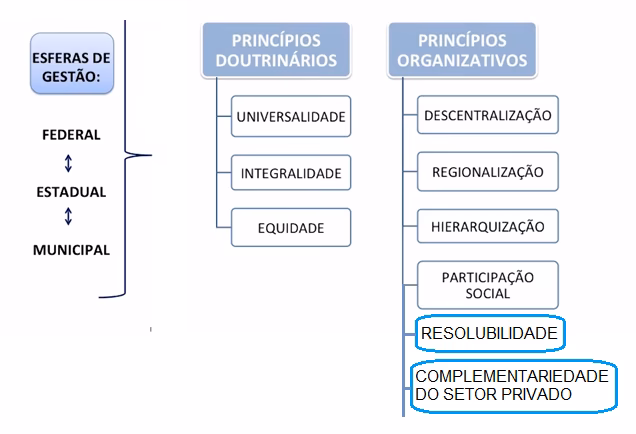 Quais são os princípios do SUS?