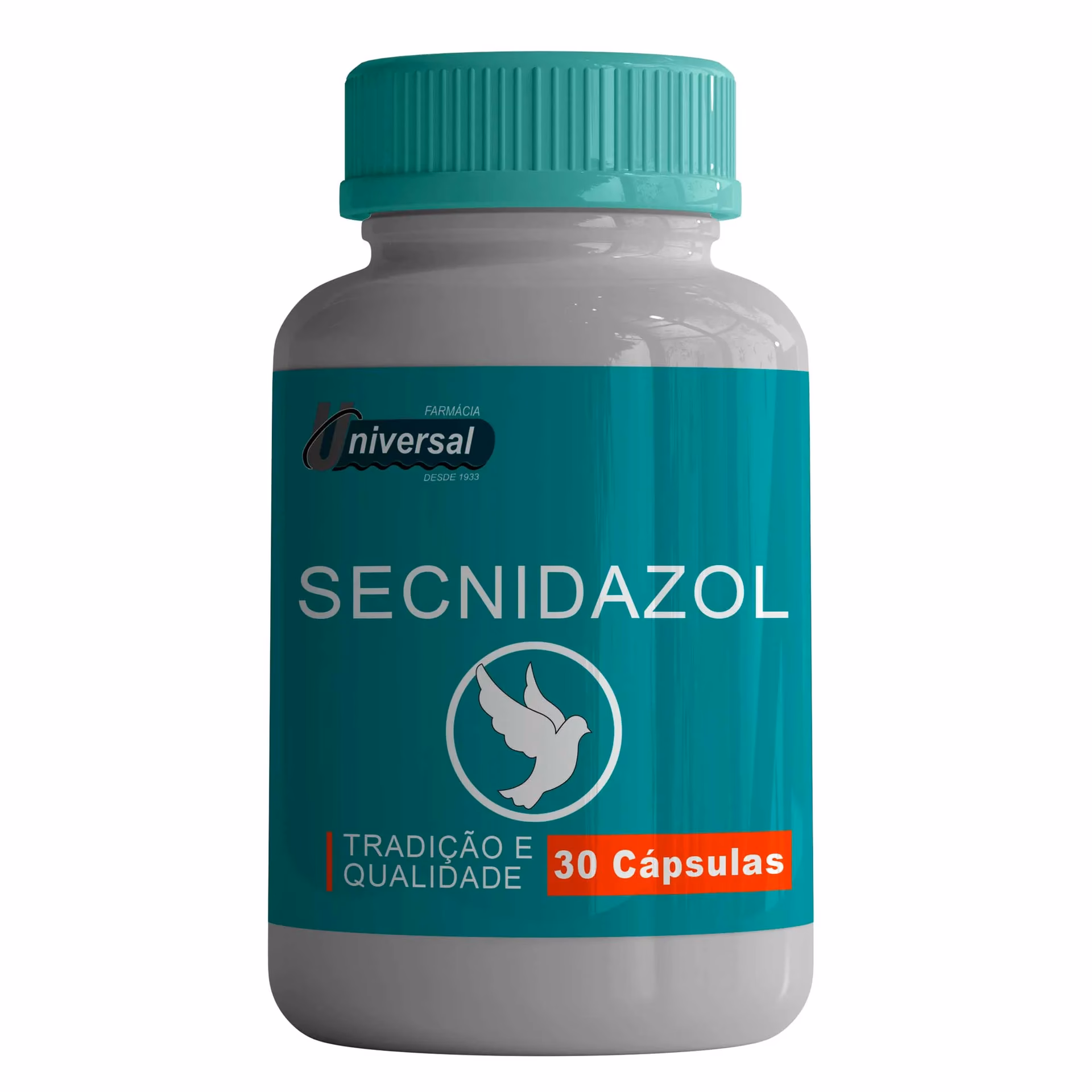 O que fazer quando se encontra um pombo-correio?