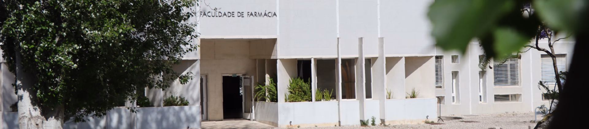 Quanto se paga numa universidade pública em Portugal?